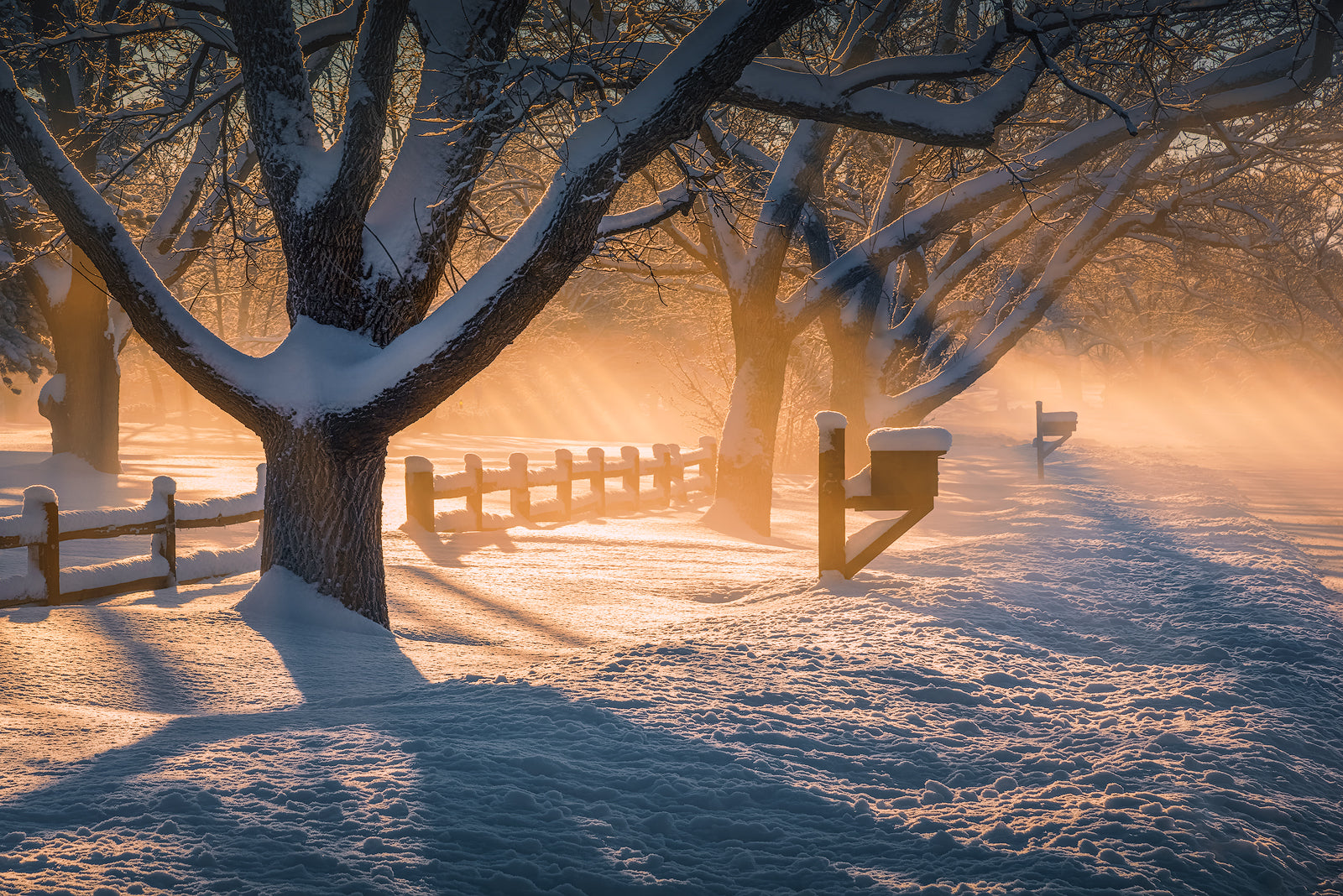 After Snow Storm