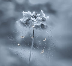 Wall mural Dancing flower – fototapet med unikt motiv som skapar en inspirerande fondvägg
