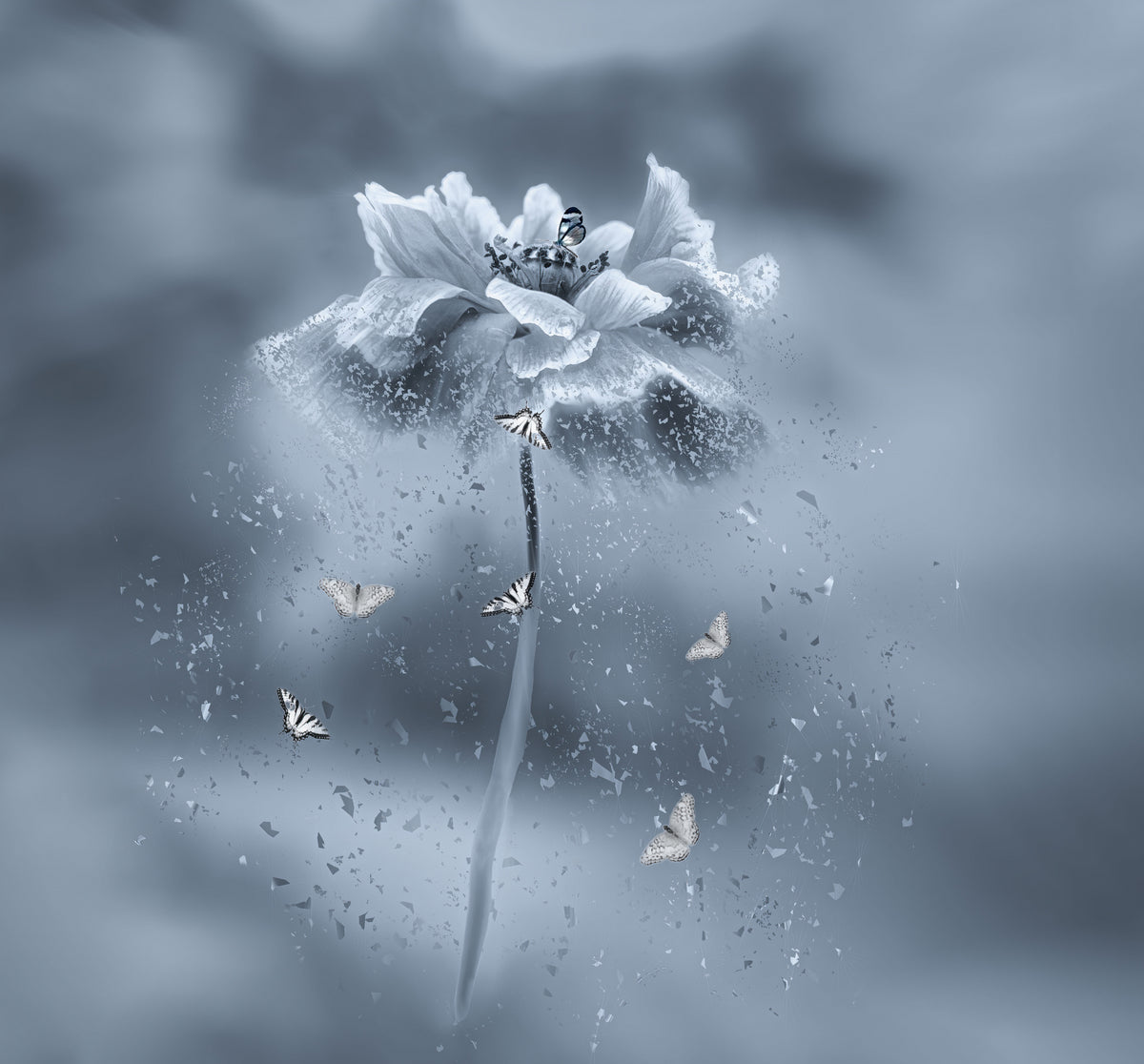 Dansende blomst
