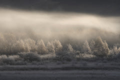 Wall mural rime – fototapet med unikt motiv som skapar en inspirerande fondvägg