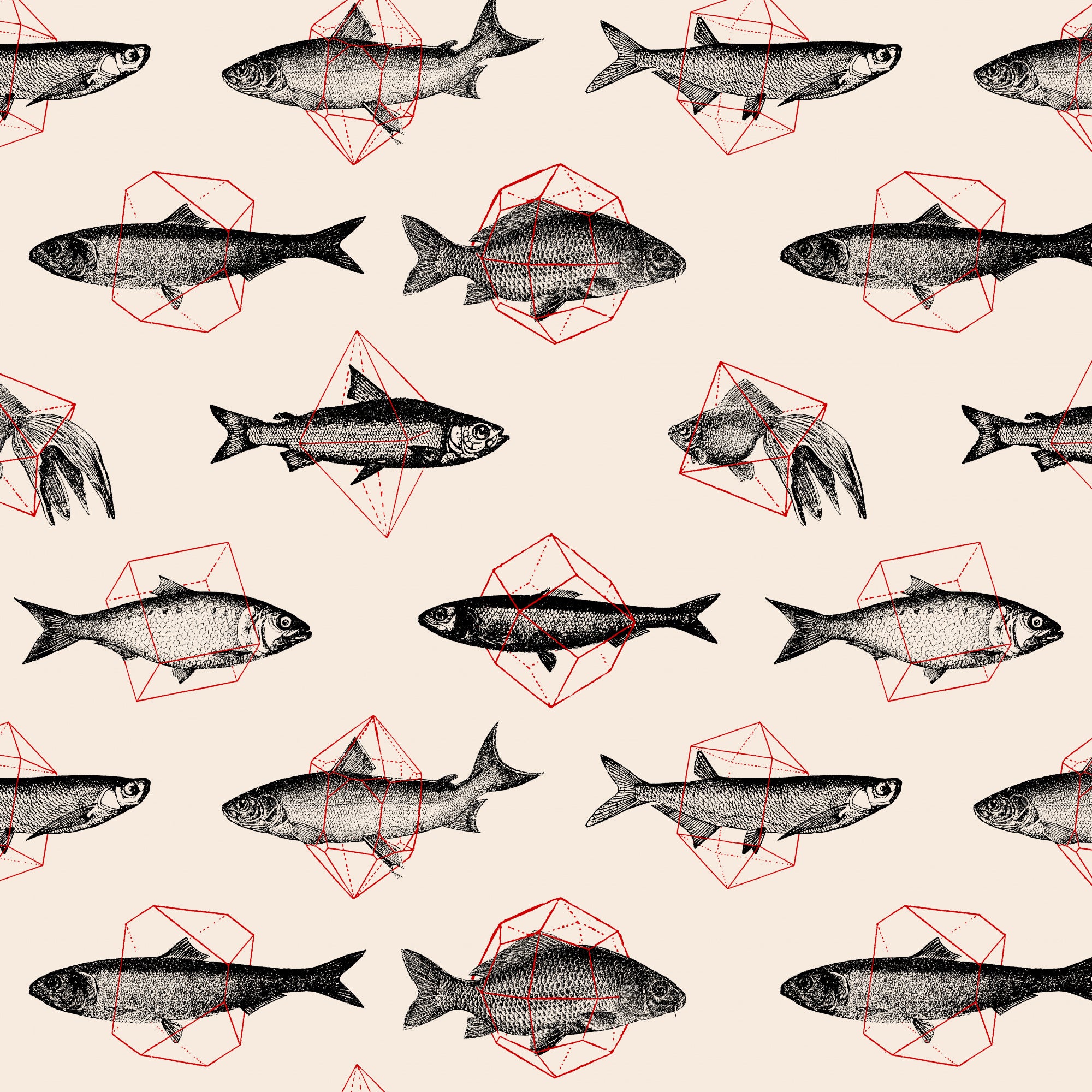 Fish In Geometrics Nº1