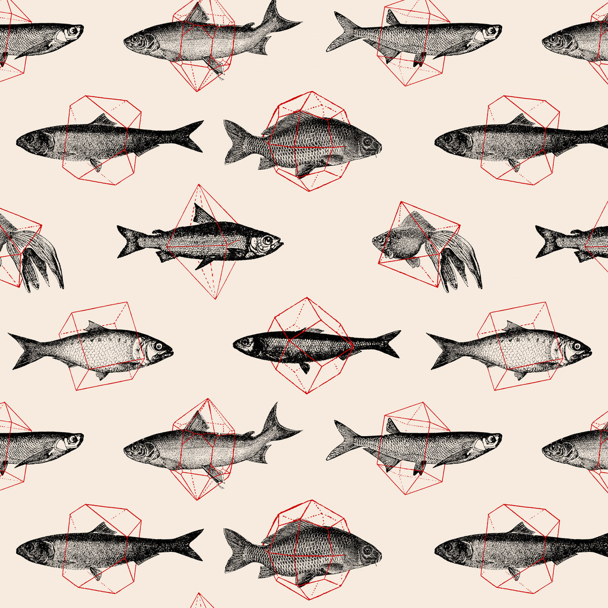Fish In Geometrics Nº1