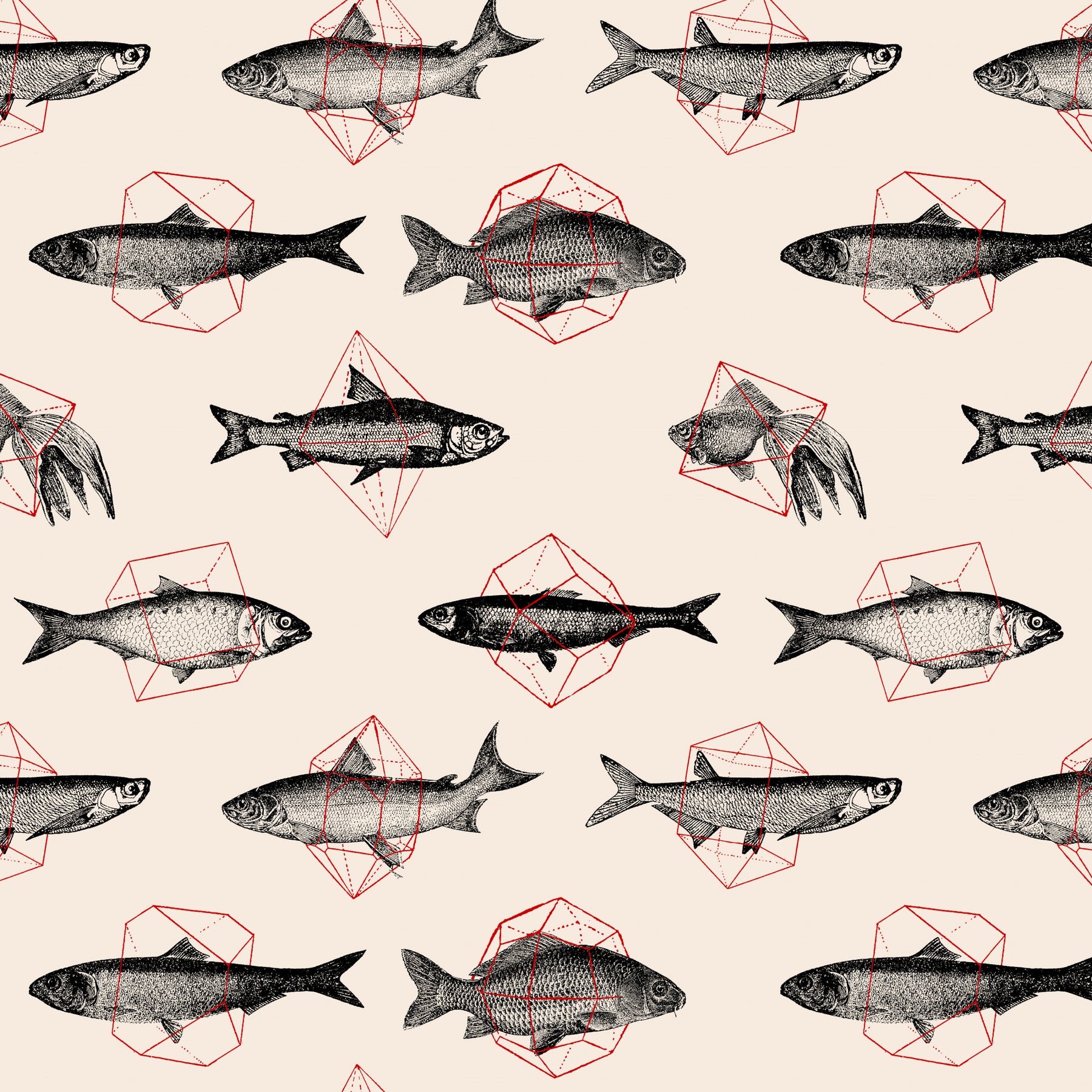 Fish In Geometrics Nº1