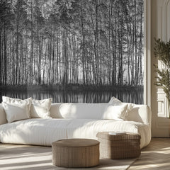 Black White Forest Reflections