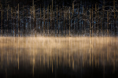 Wall mural Cuejdel lake – fototapet med unikt motiv som skapar en inspirerande fondvägg