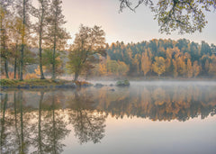 Golden Autumn Lake Reflection