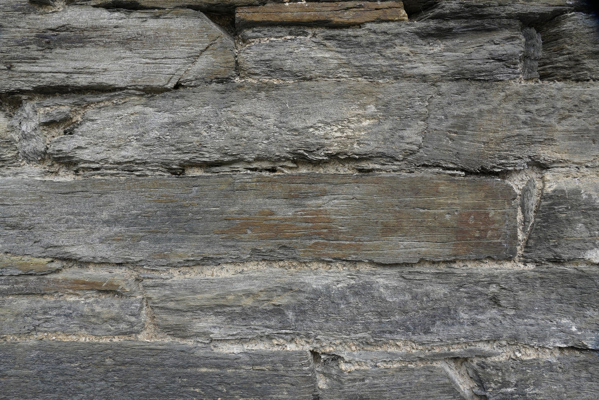 Tex Surface W3