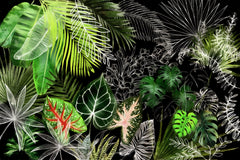 Wall mural Tropical Foliage 4 – fototapet med unikt motiv som skapar en inspirerande fondvägg
