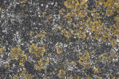 Wall mural Tex Surface S29 – fototapet med unikt motiv som skapar en inspirerande fondvägg