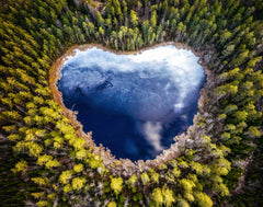 Wall mural Cold Cold Heart – fototapet med unikt motiv som skapar en inspirerande fondvägg