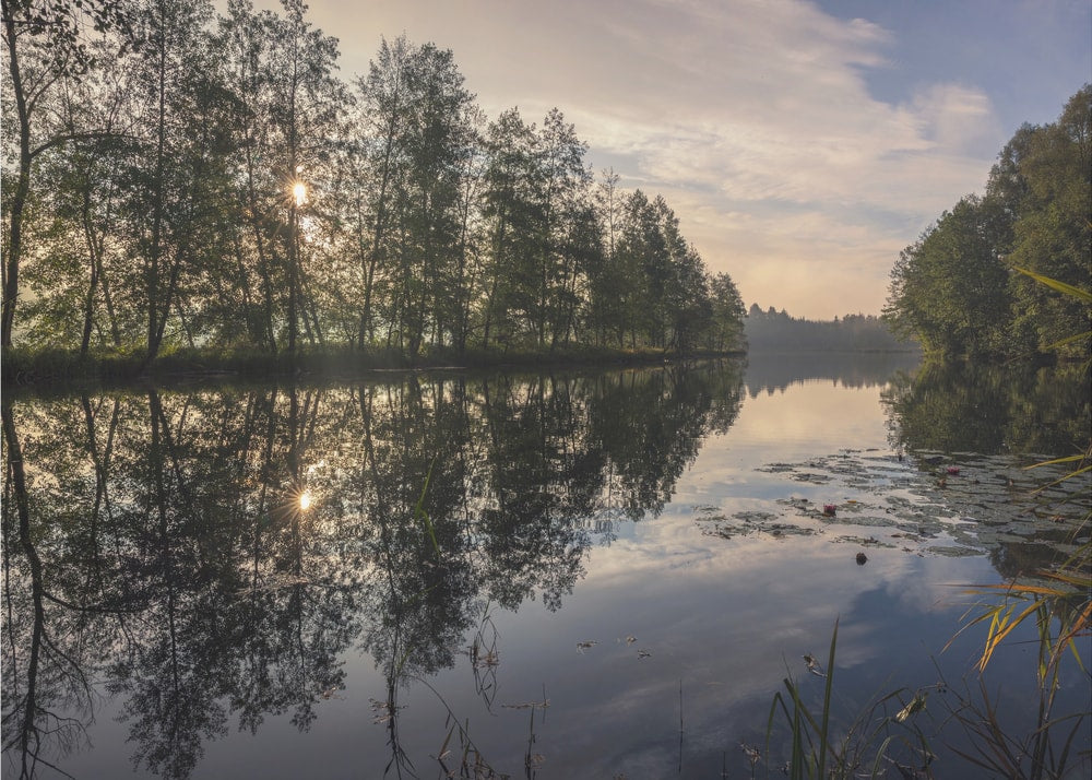 Peaceful Lake Reflection