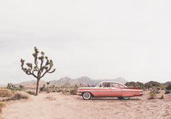 Wall mural In the desert – fototapet med unikt motiv som skapar en inspirerande fondvägg