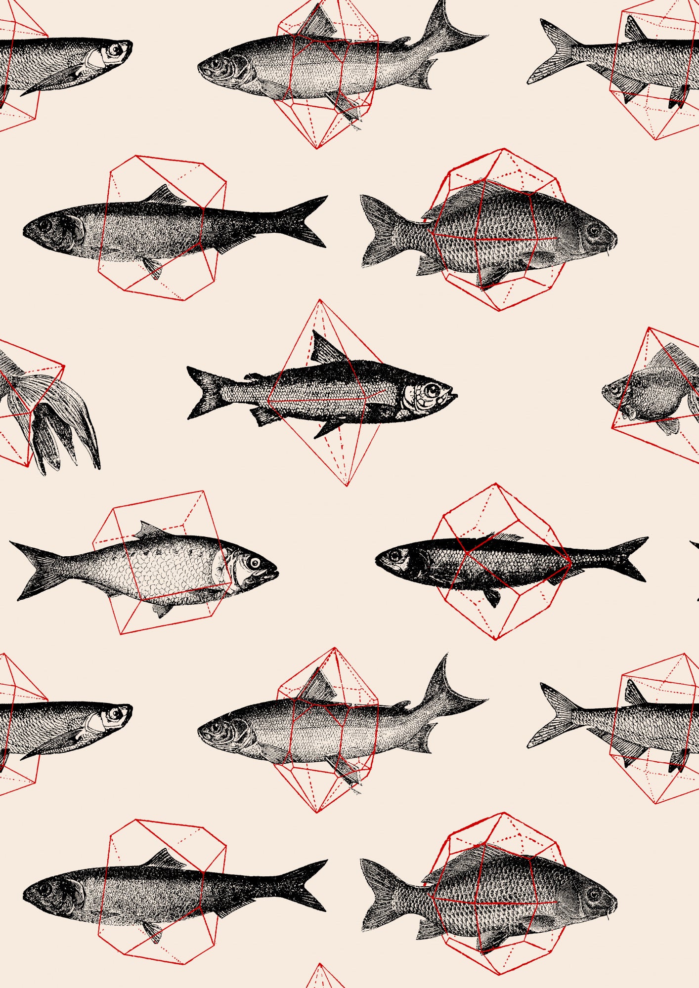 Fishes In Geometrics Nº4