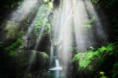 Wall mural the eden of light – fototapet med unikt motiv som skapar en inspirerande fondvägg