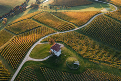 Wall mural Golden Hill – fototapet med unikt motiv som skapar en inspirerande fondvägg