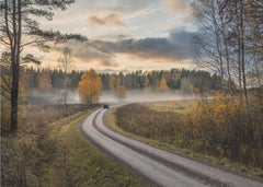Misty Autumn Road
