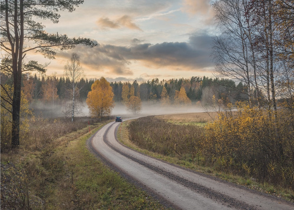 Misty Autumn Road