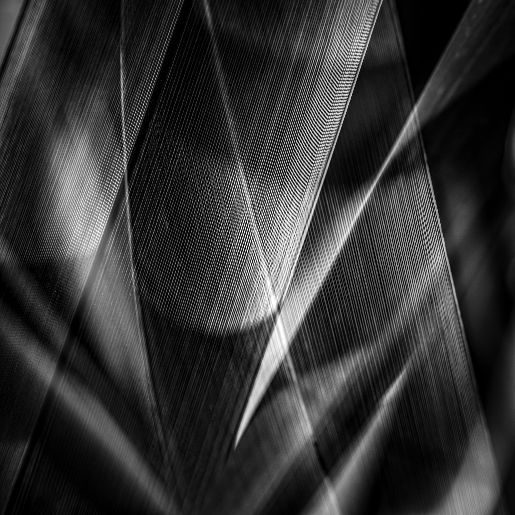 Shadows &amp; edges …