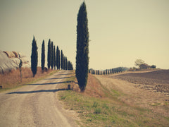 Wall mural Tuscan countryside – fototapet med unikt motiv som skapar en inspirerande fondvägg
