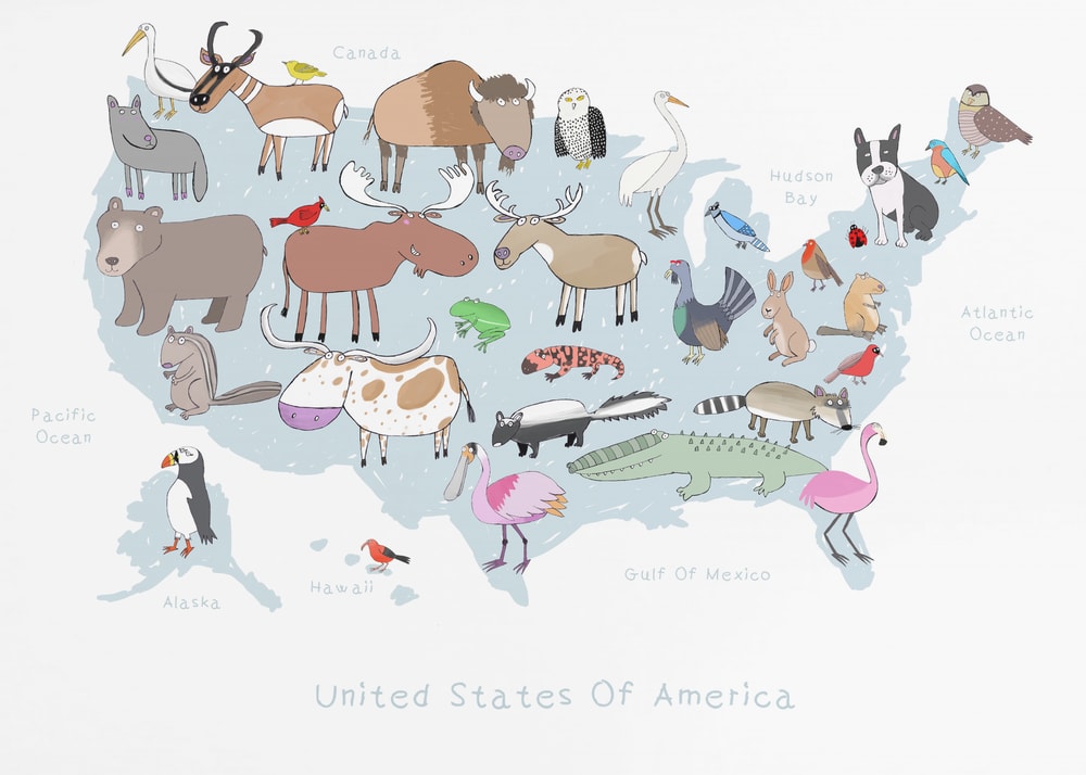 USA Wildlife Map