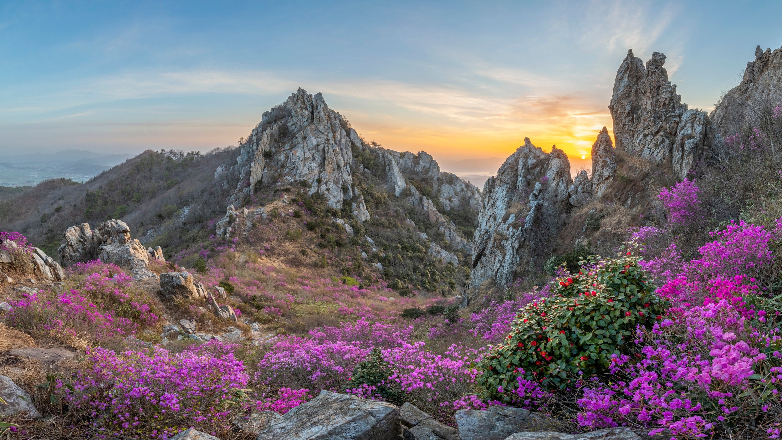 Blooming Time, Deokryongsan