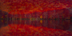 Wall mural Burning red leaves – fototapet med unikt motiv som skapar en inspirerande fondvägg