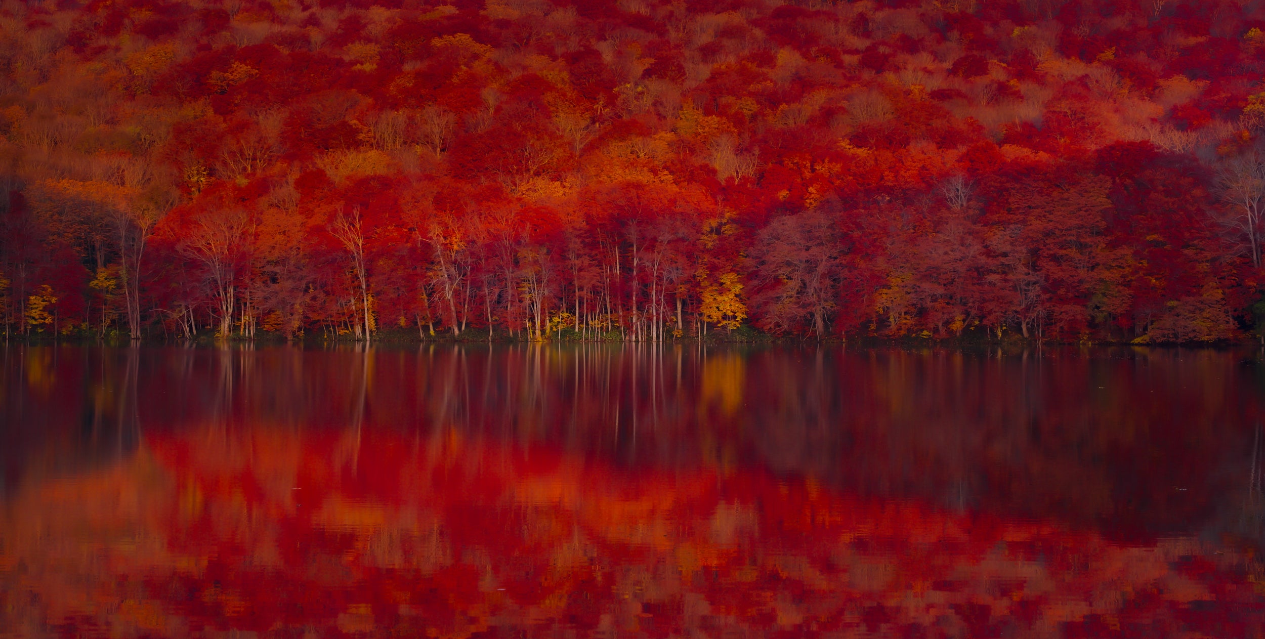 Burning red leaves