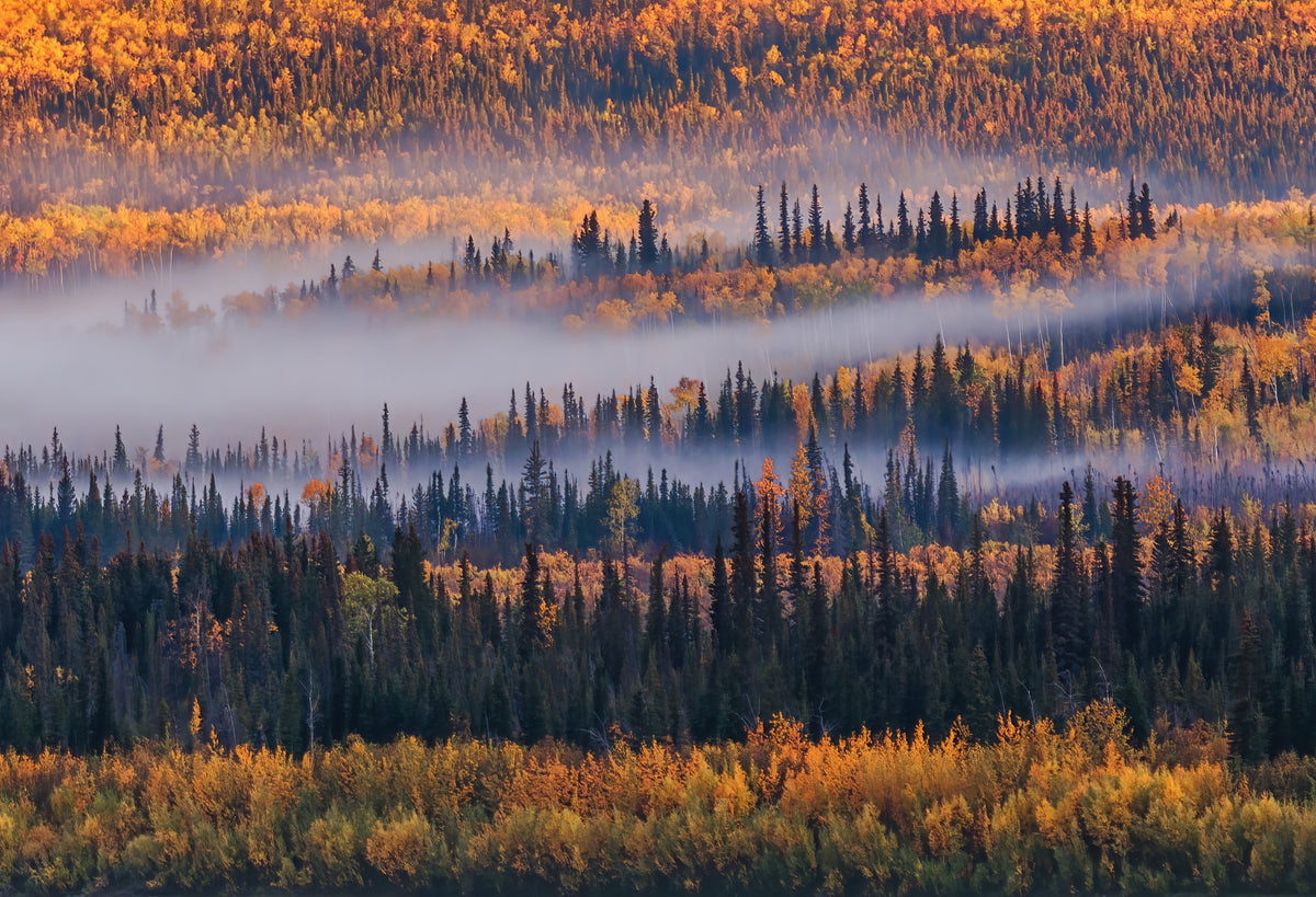 Høst i Alaska