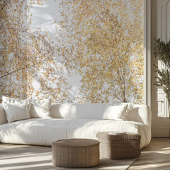 Birch Trees