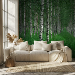 Birch Forest Path