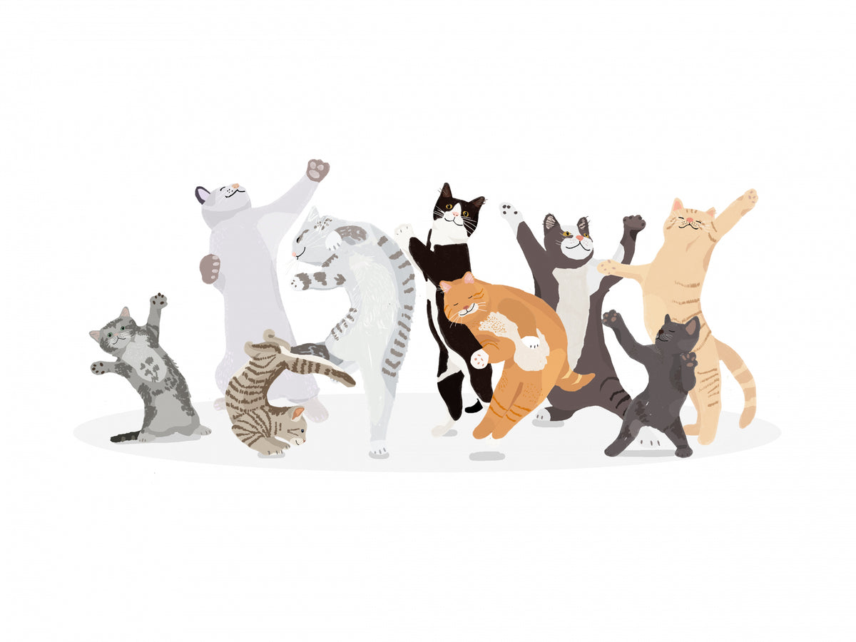 Dansende katt
