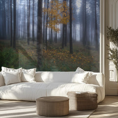 Misty Autumn Forest