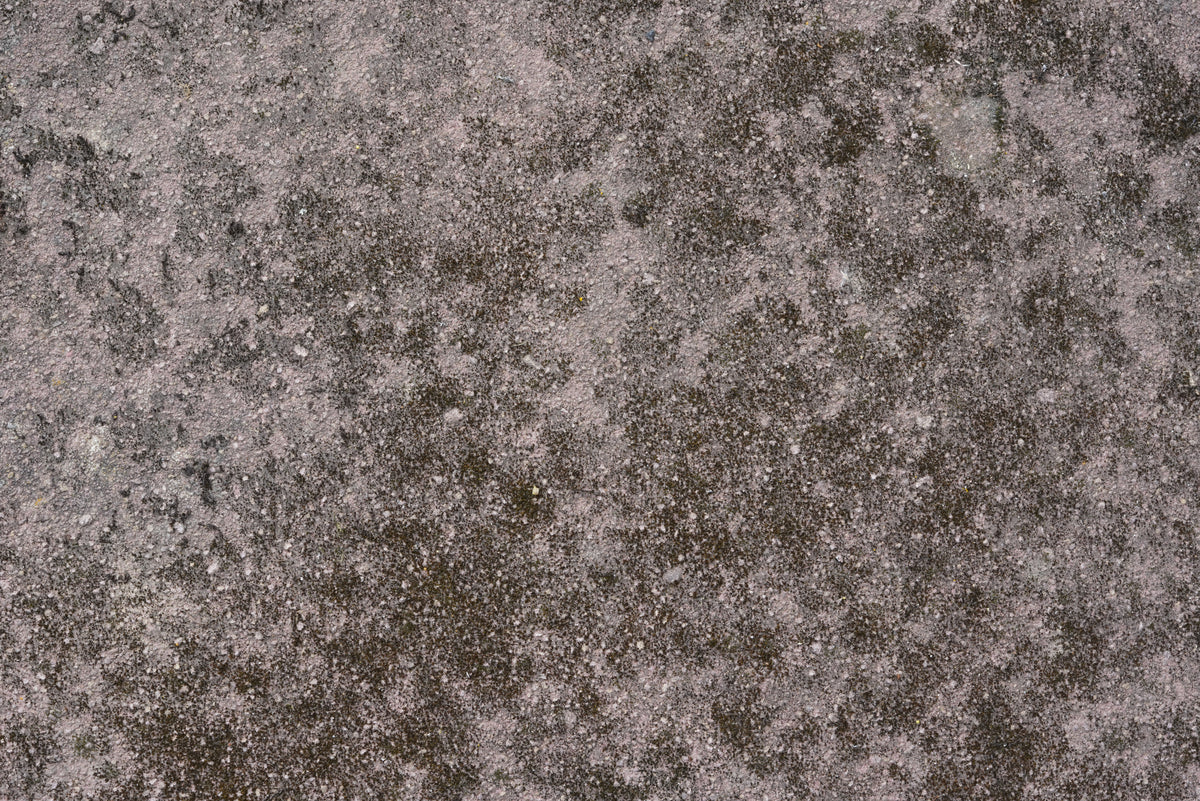 Tex Surface S12