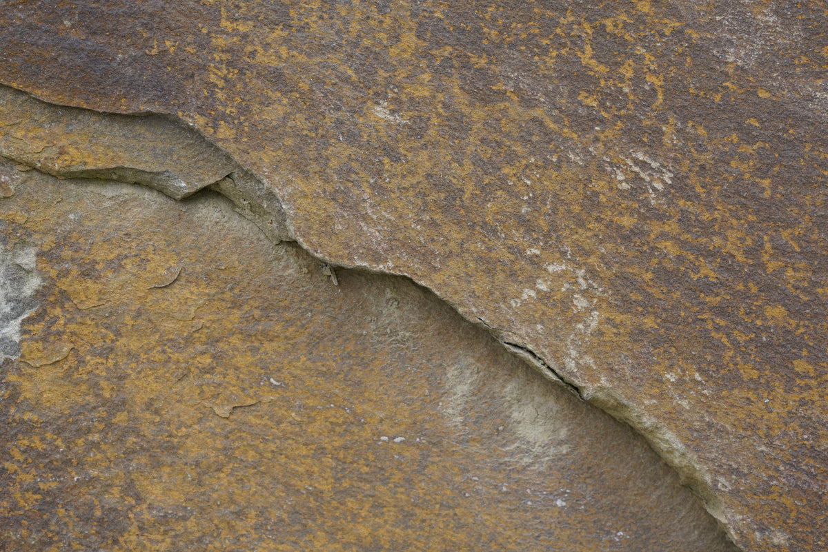 Tex Surface S25
