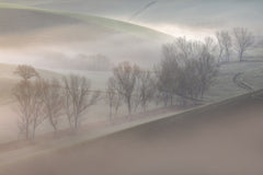 Wall mural sunrise over the trees – fototapet med unikt motiv som skapar en inspirerande fondvägg