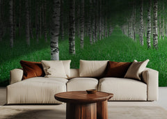 Birch Forest Path