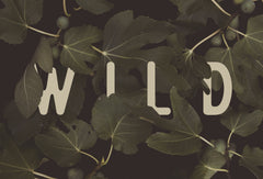 Wall mural Wild Nº2 – fototapet med unikt motiv som skapar en inspirerande fondvägg
