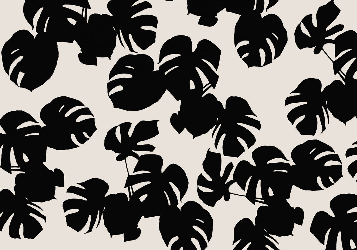 Monstera-blader svarte