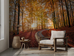 Golden Autumn Forest Road