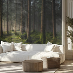 Misty Forest Glow