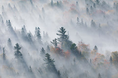Wall mural The Fog of Silence The Fog of Illusion – fototapet med unikt motiv som skapar en inspirerande fondvägg