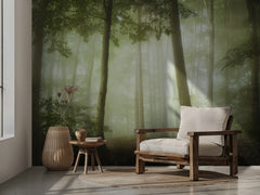 Foggy Forest Light