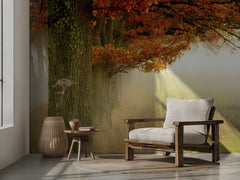 Misty Autumn Trees