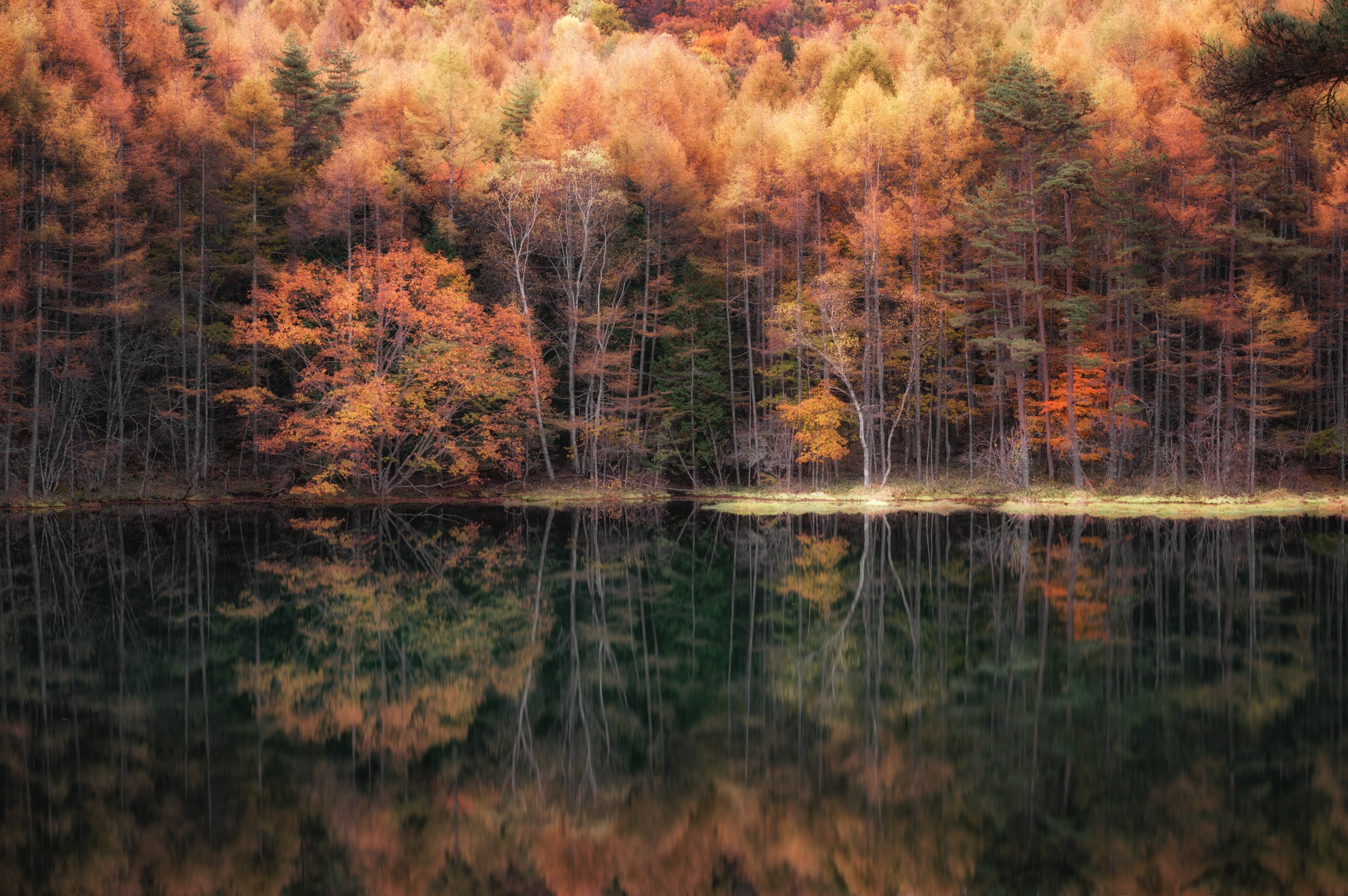 Beautiful reflection in Autumn