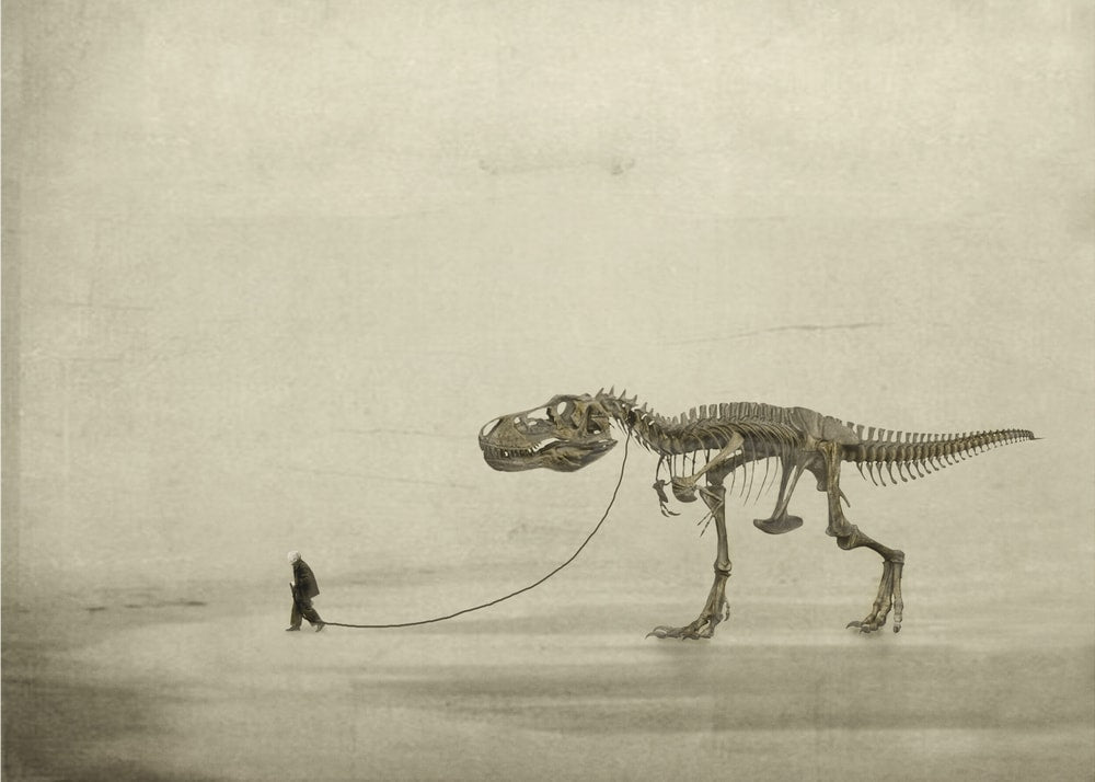 the walk