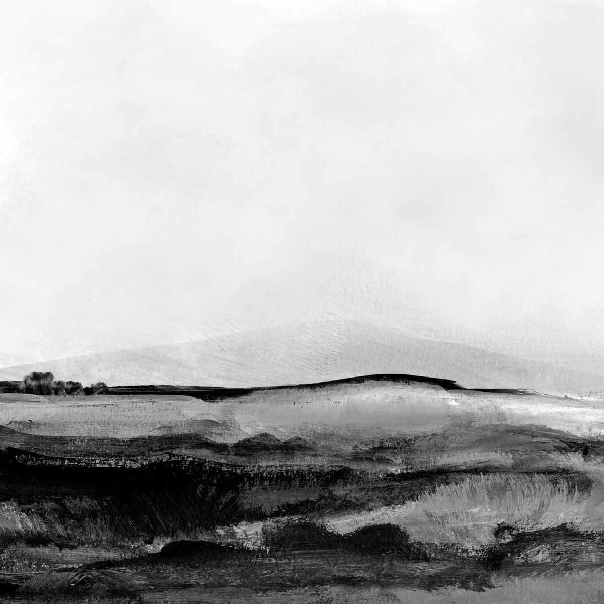 Mono landskap nr. 1