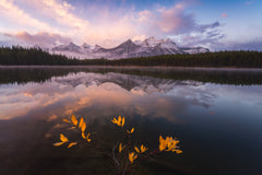 Wall mural Last Fall View – fototapet med unikt motiv som skapar en inspirerande fondvägg