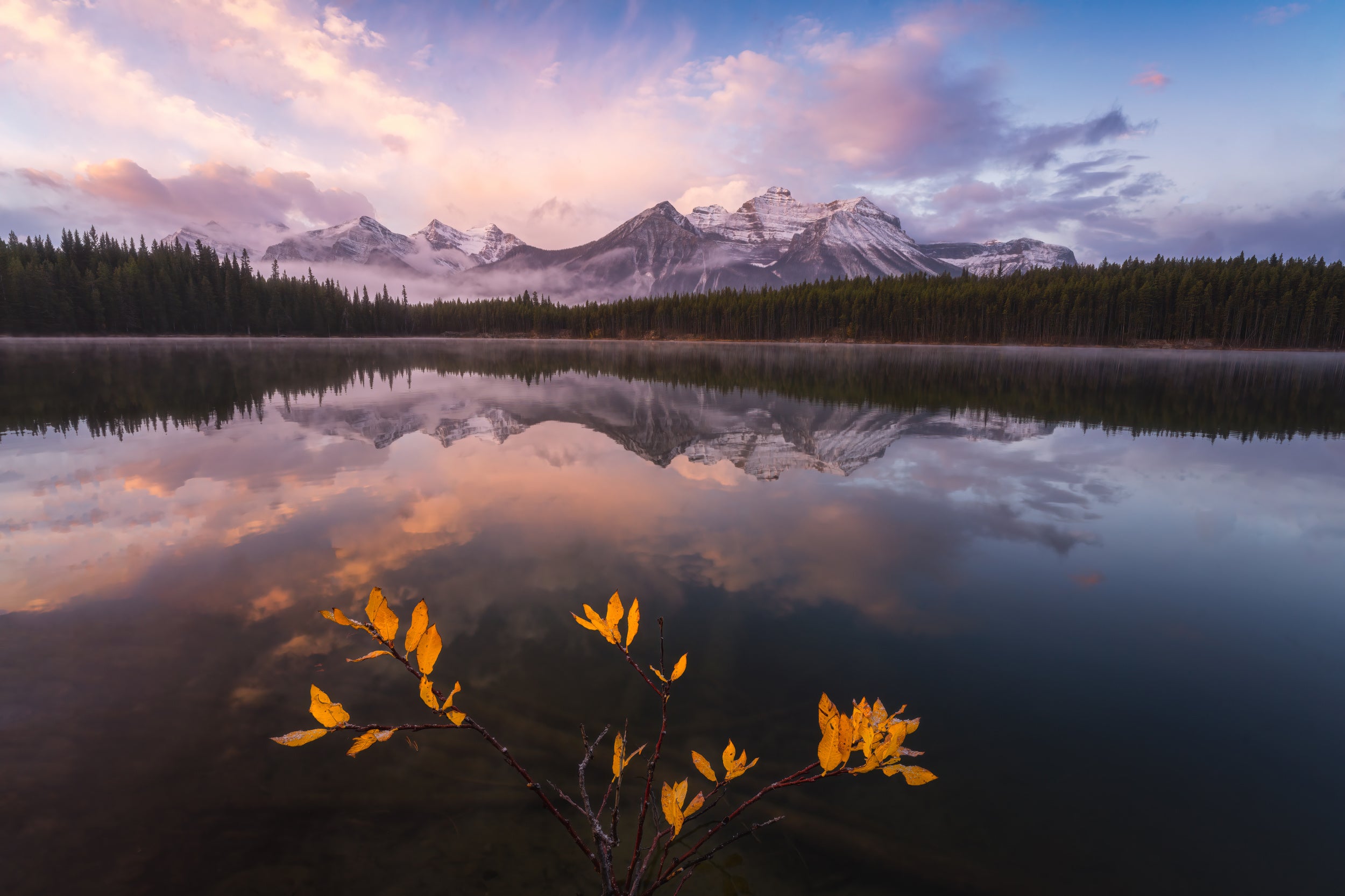 Last Fall View
