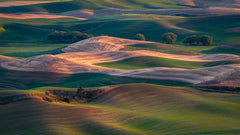Wall mural Farmland at sunset – fototapet med unikt motiv som skapar en inspirerande fondvägg