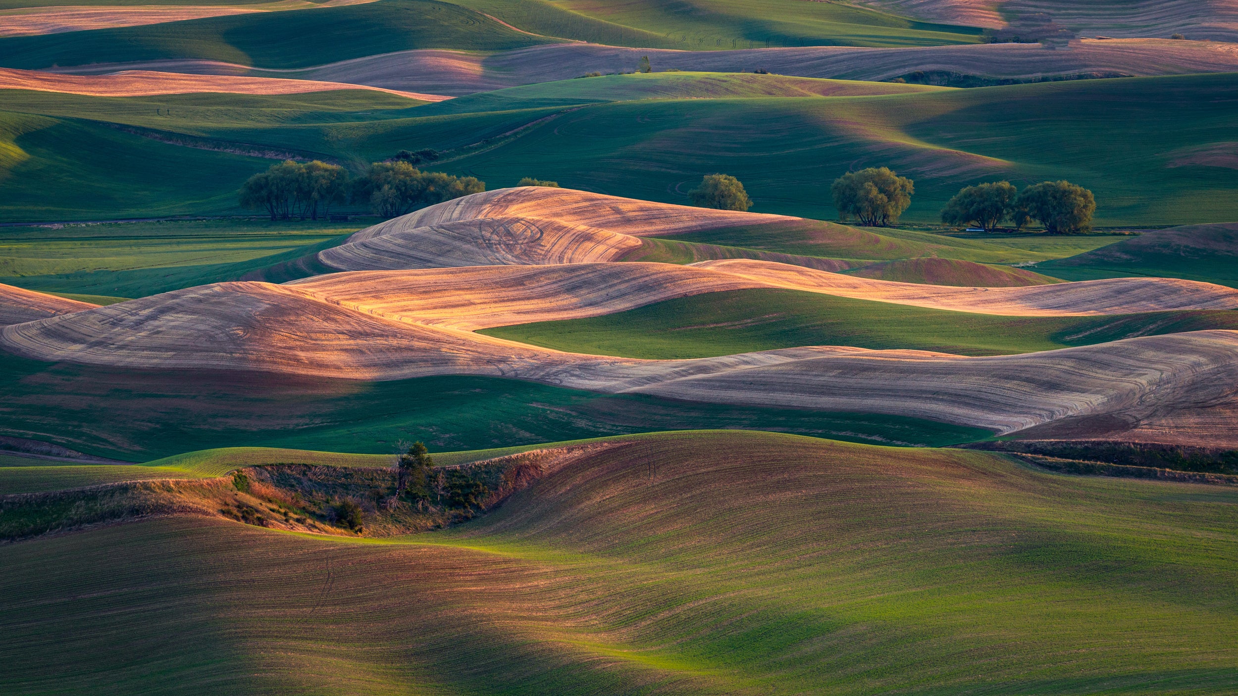 Farmland at sunset